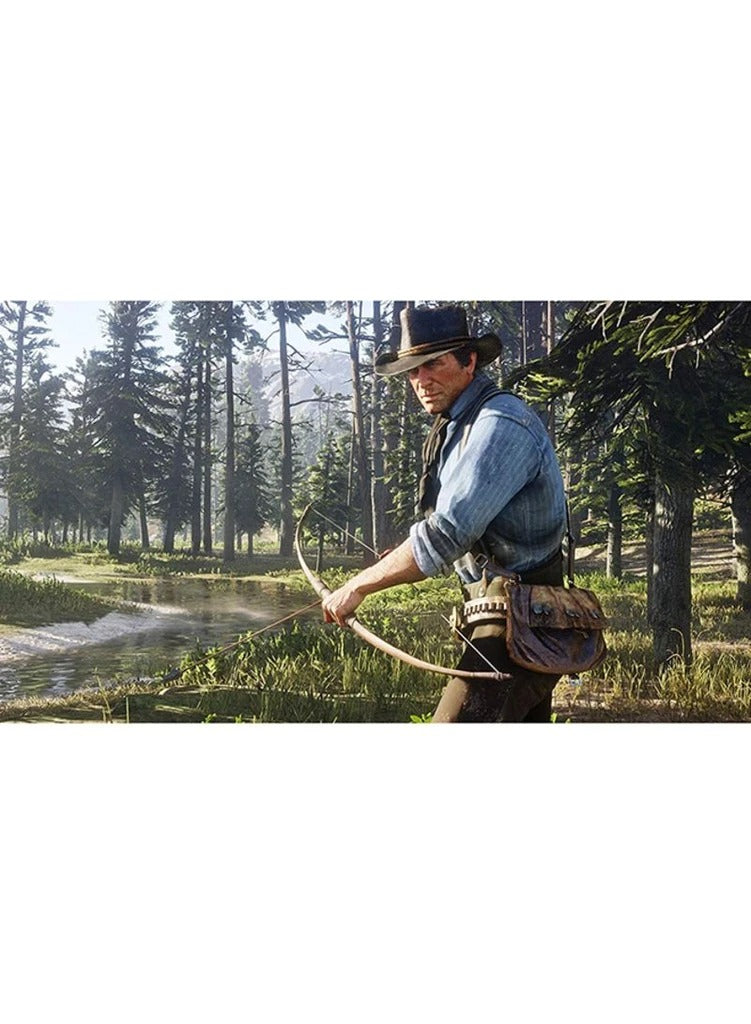 Red Dead Redemption 2  PlayStation 4 [video game]
