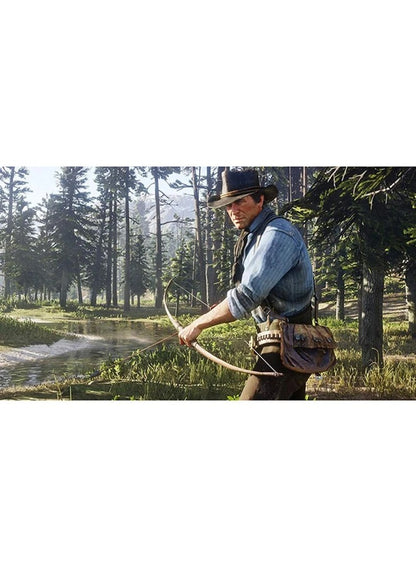 Red Dead Redemption 2  PlayStation 4 [video game]